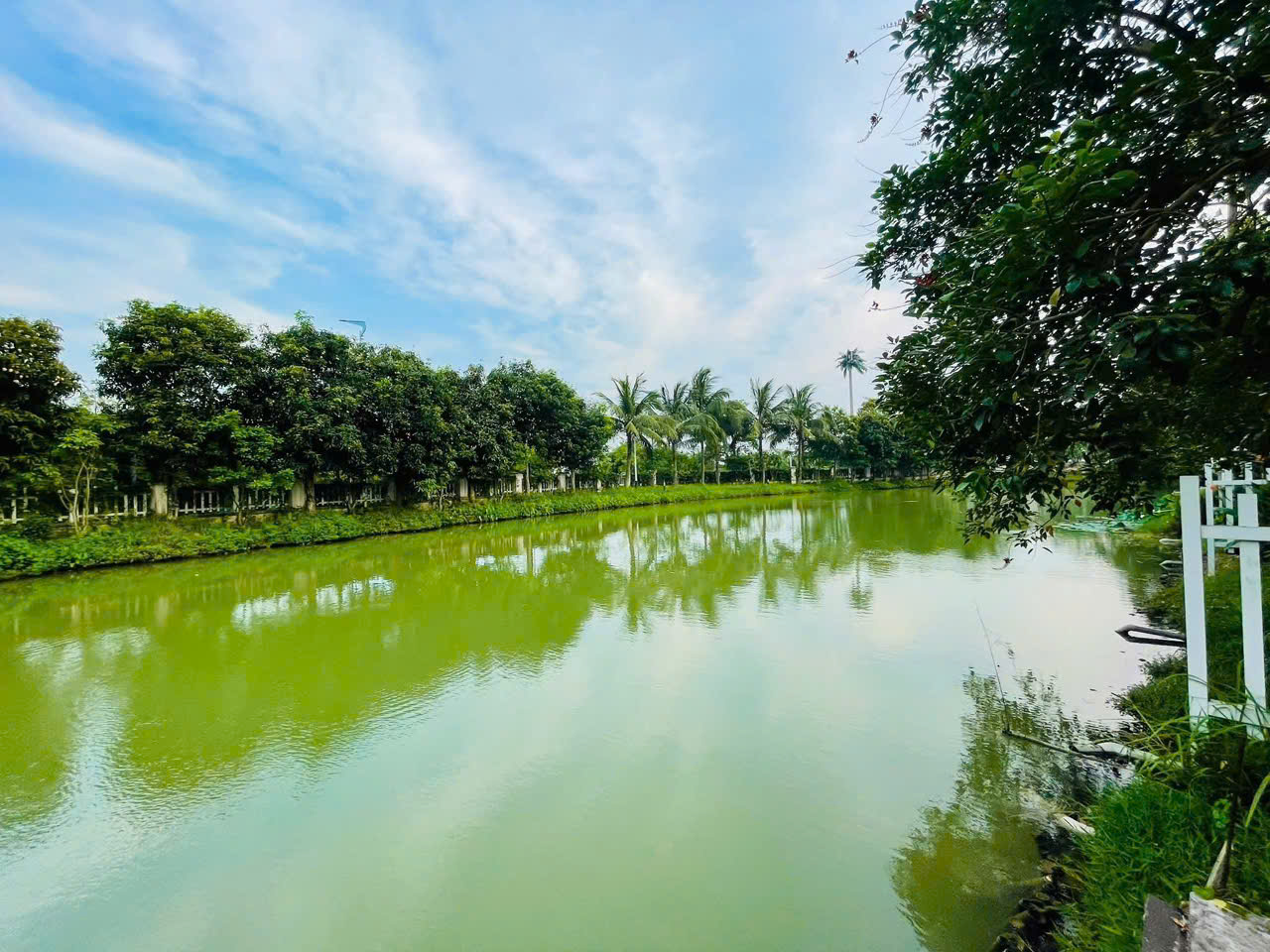 Biệt thự 200m2, 4 phòng ngủ, đầy đủ đồ có view sông và thang máy bên Vinhomes riverside cho thuê 1