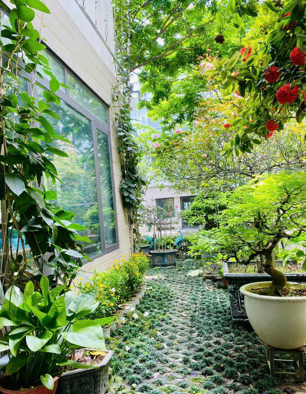 Biệt thự song lập 4 phòng ngủ, đủ đồ có sân vườn bên khu Marina Ecopark cho thuê 15