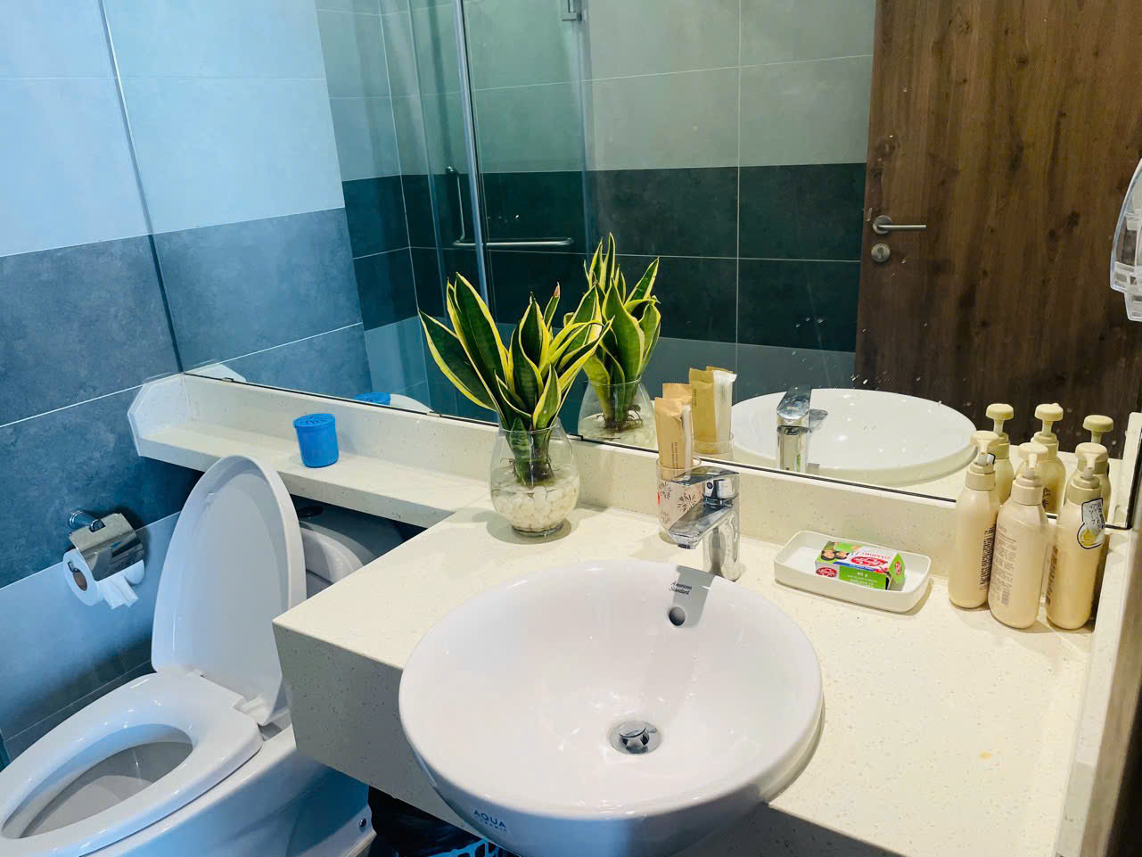 Cho thuê căn hộ 3 phòng ngủ, đủ đồ đẹp bên tòa Sky Oasis Ecopark 6