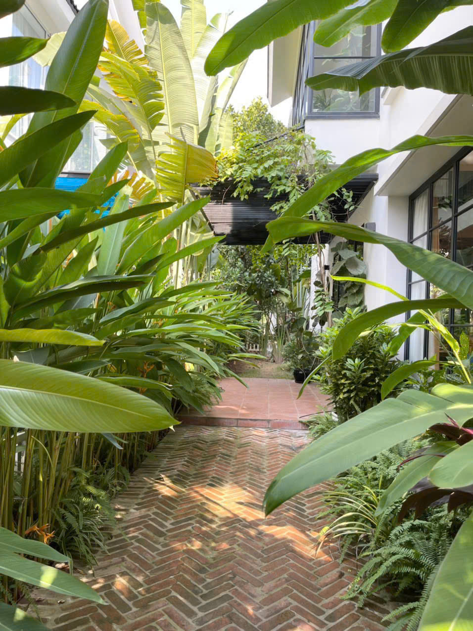 Cho Thuê Biệt Thự Song Lập Mimosa Ecopark: 210m² Sân Vườn Rộng, 4PN Full Đồ Đẹp