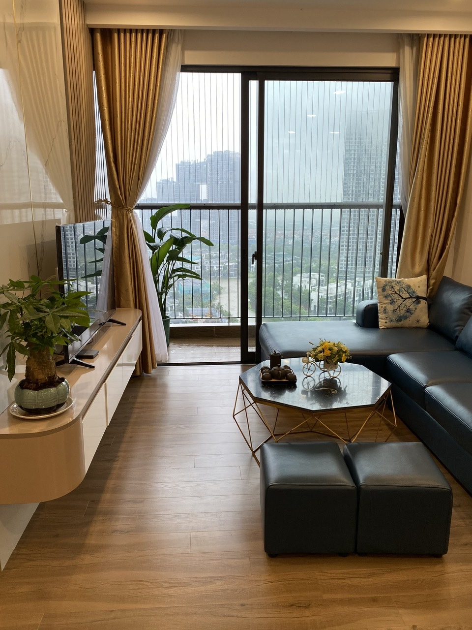 Cho thuê căn hộ 3 phòng ngủ, full đồ đẹp bên tòa S2 Sky Oasis Ecopark