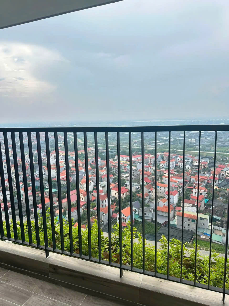 Cho thuê căn hộ Sky Forest Ecopark tầng cao 2PN, full nội thất đẹp, view trọn thiên nhiên